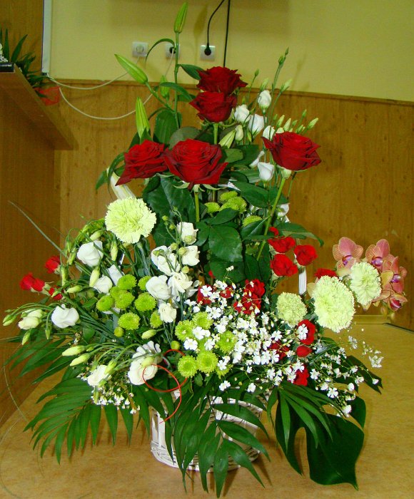 01-DSC09940