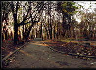 Parc