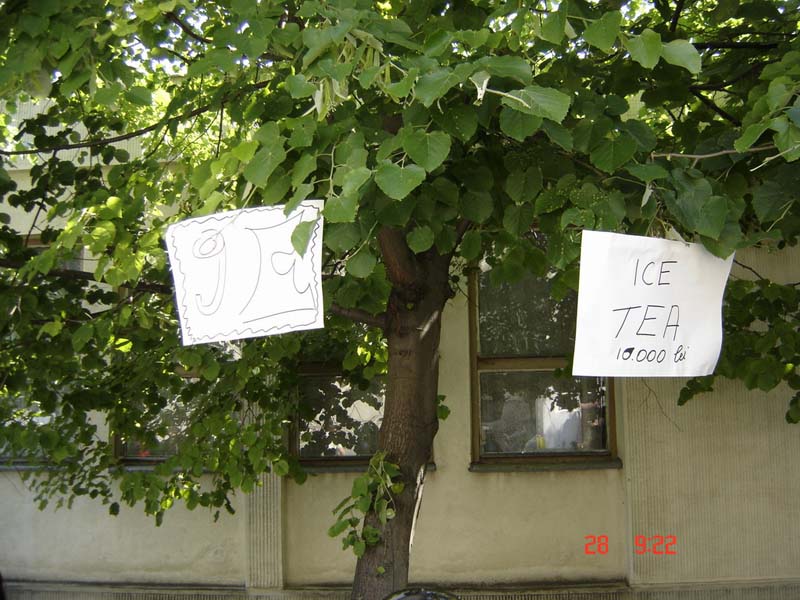 DSC01301