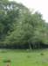 maria_hpim1188_small.jpg