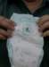 maria_hpim1289_small.jpg