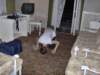 vlad_hpim0598_small.jpg