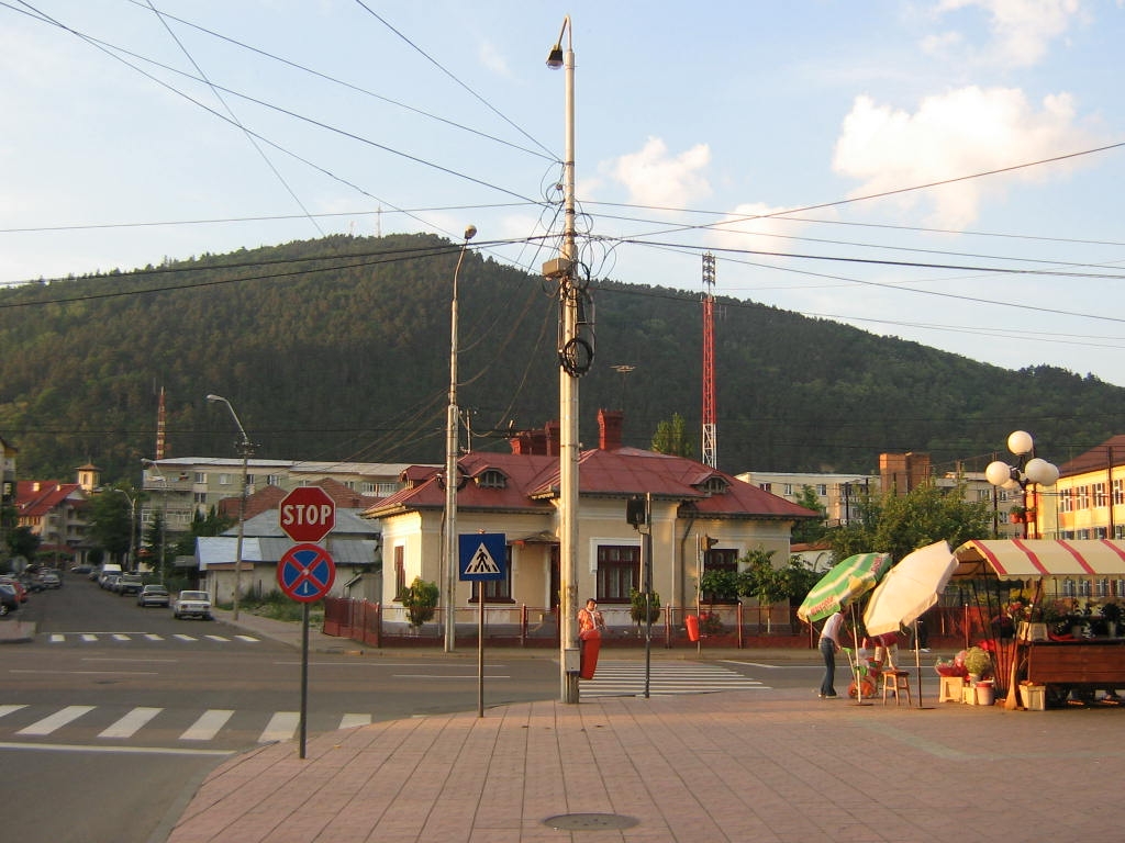 IMG_6431.jpg