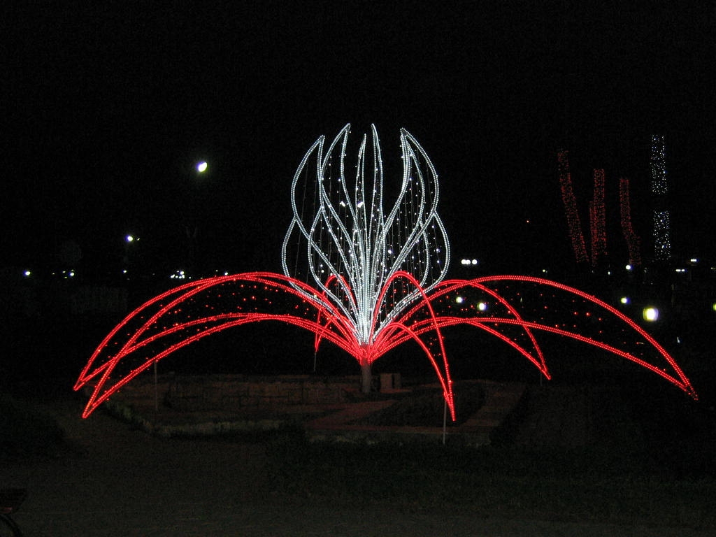 IMG_6454.jpg