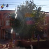 IMG_1097_resize