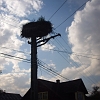 IMG_1136_resize