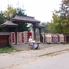 IMG_1141_resize