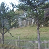 IMG_1199_resize