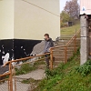 IMG_1224_resize