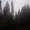 IMG_1231_resize