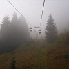 IMG_1233_resize