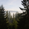 IMG_1239_resize