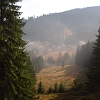 IMG_1240_resize