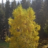 IMG_1241_resize