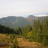 IMG_1258_resize