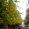 IMG_1291_resize