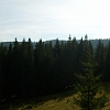 S6303411