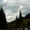 S6303631