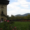 DSC01594
