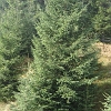 DSC01608