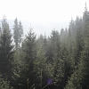 DSC01610