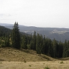 DSC01614