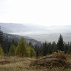 DSC01627