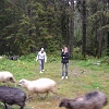 DSC01701