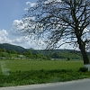 HPIM2455