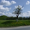 HPIM2461