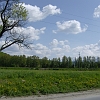 HPIM2462