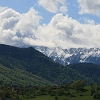Risnov