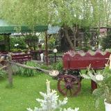 DSC09708