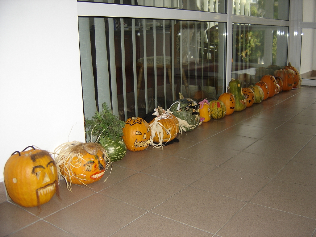 DSC01823.JPG