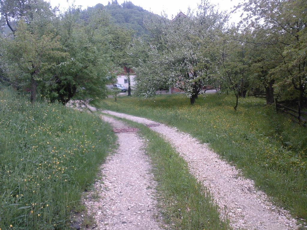 SP_A0229.jpg