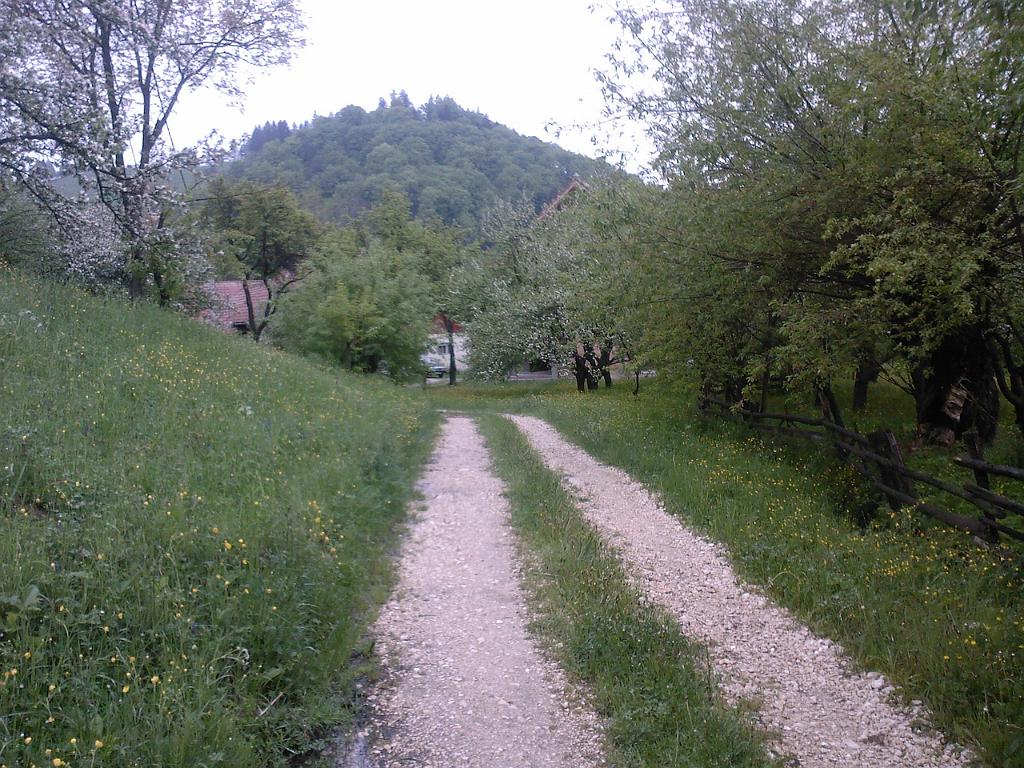 SP_A0230.jpg