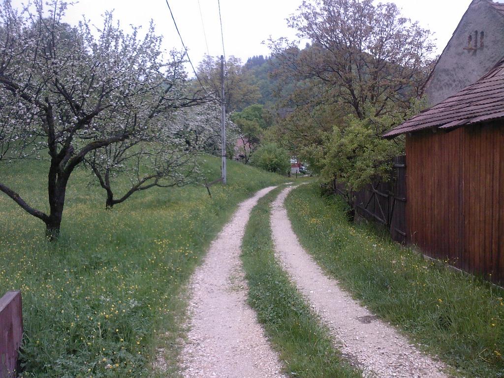 SP_A0231.jpg