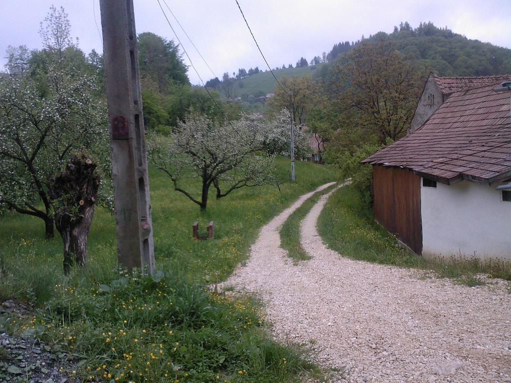 SP_A0232.jpg