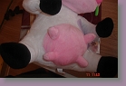 DSC02802 * 3072 x 2048 * (2.2MB)