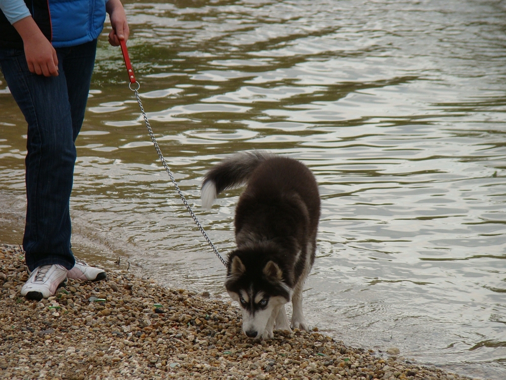 DSC03689.JPG