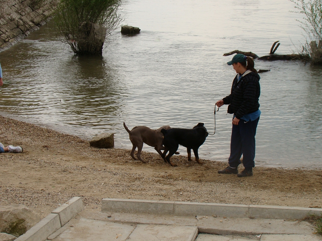 DSC03690.JPG