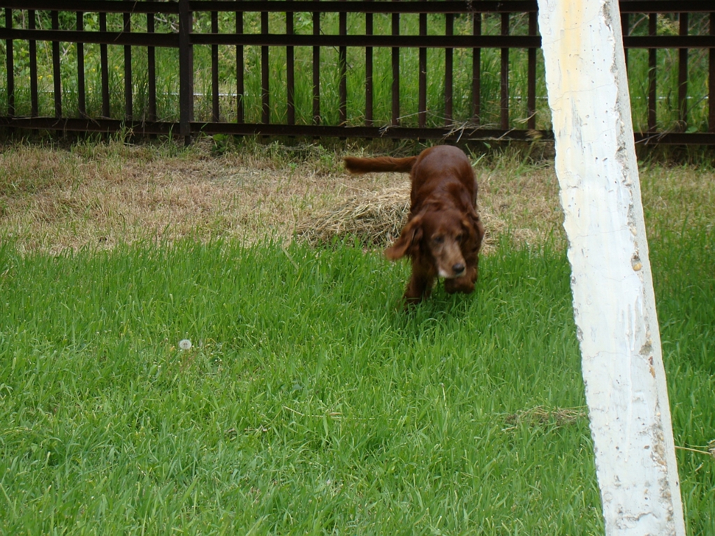 DSC03717.JPG