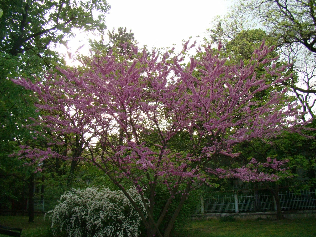 DSC03735.JPG