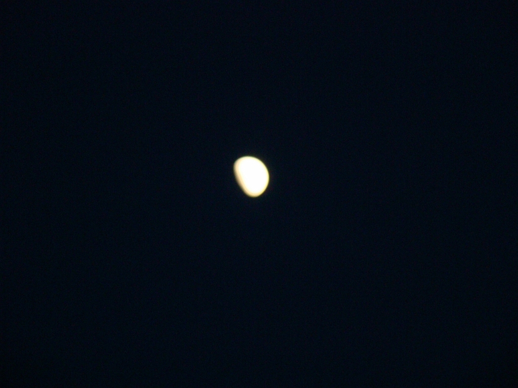 DSC03800.JPG