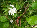 DSC03695