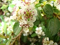 DSC03703