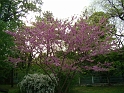 DSC03735