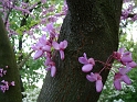 DSC03738