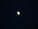DSC03800