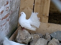 DSC03831